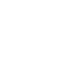 Play icon